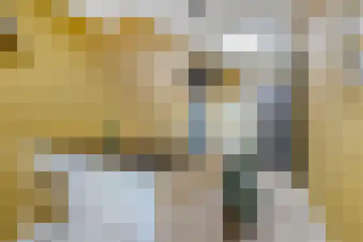 Nederkwartier 39 's-Hertogenbosch thumbnail 14