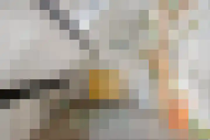 Nederkwartier 39 's-Hertogenbosch thumbnail 23