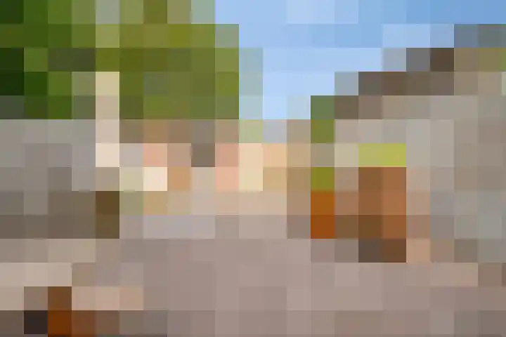 Nederkwartier 39 's-Hertogenbosch thumbnail 32