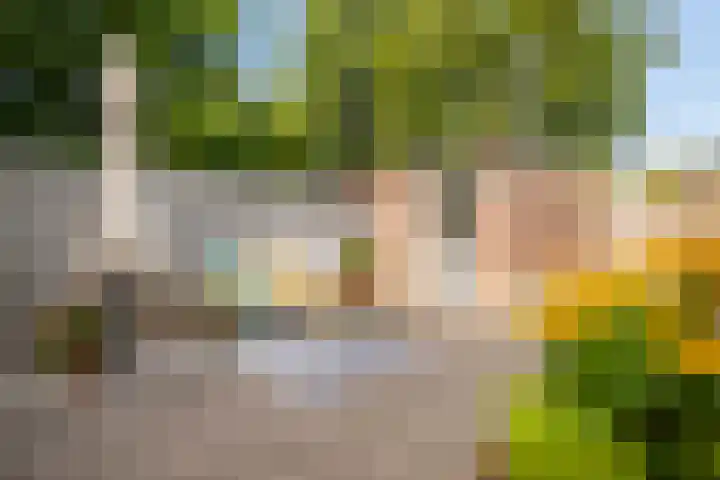 Nederkwartier 39 's-Hertogenbosch thumbnail 33