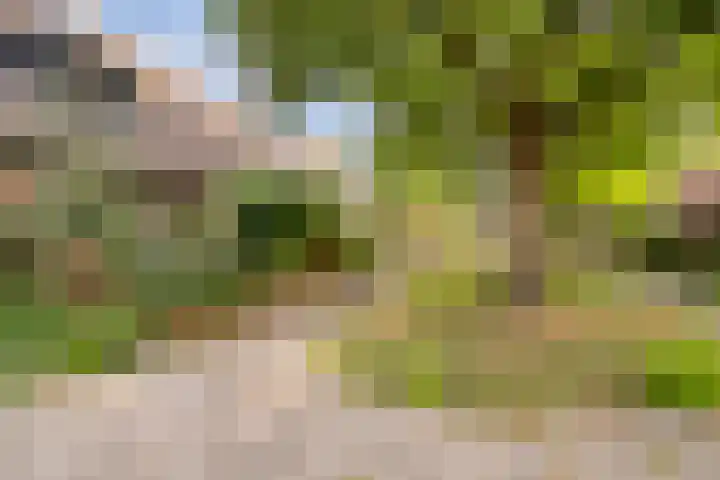 Nederkwartier 39 's-Hertogenbosch thumbnail 37
