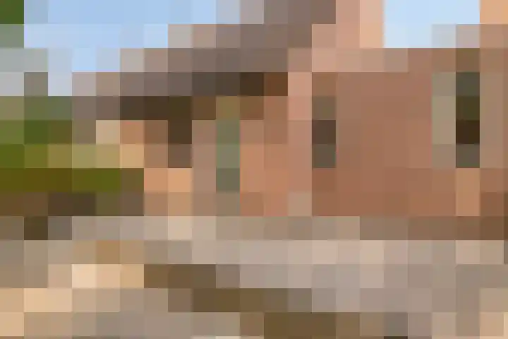 Nederkwartier 39 's-Hertogenbosch thumbnail 40