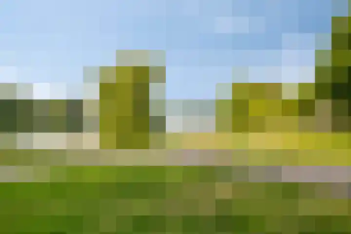 Nederkwartier 39 's-Hertogenbosch thumbnail 42