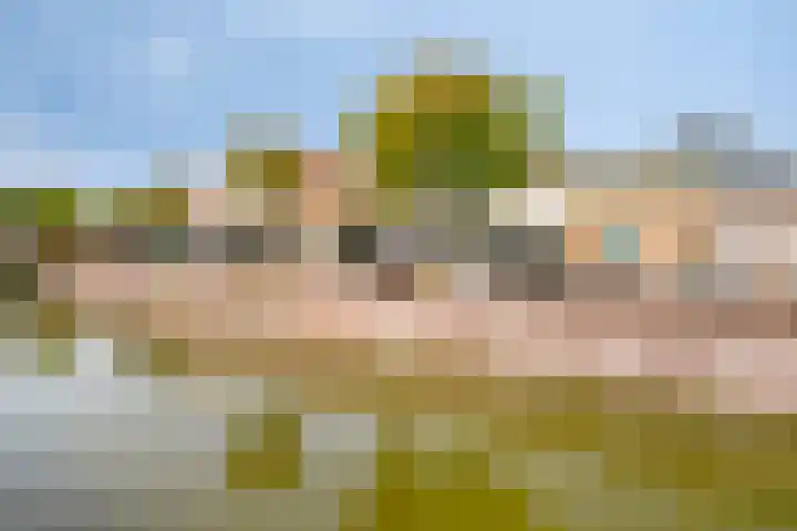 Nederkwartier 39 's-Hertogenbosch thumbnail 43
