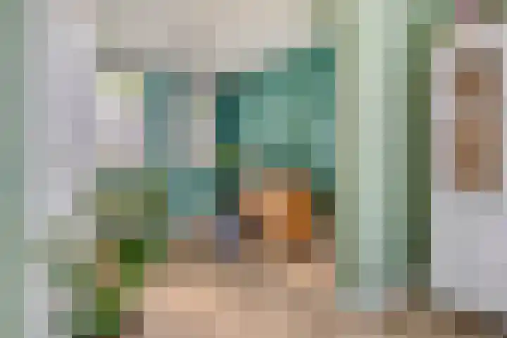 Nederkwartier 39 's-Hertogenbosch thumbnail 8