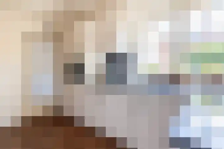 Nederlandlaan 10 Stadskanaal thumbnail 17