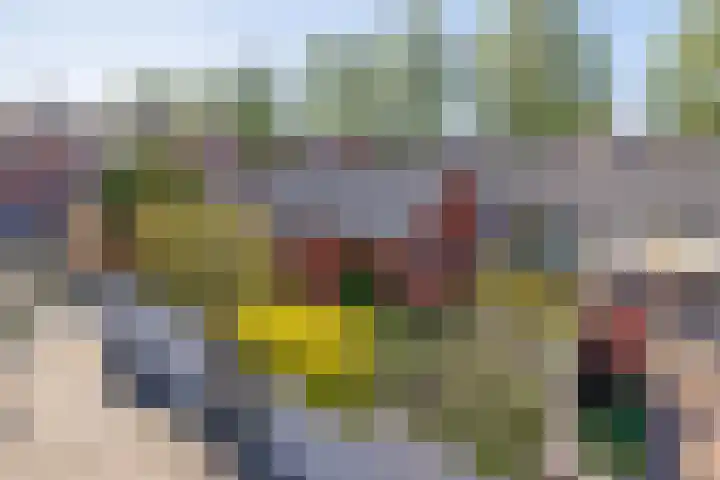 Nederlandlaan 10 Stadskanaal thumbnail 34