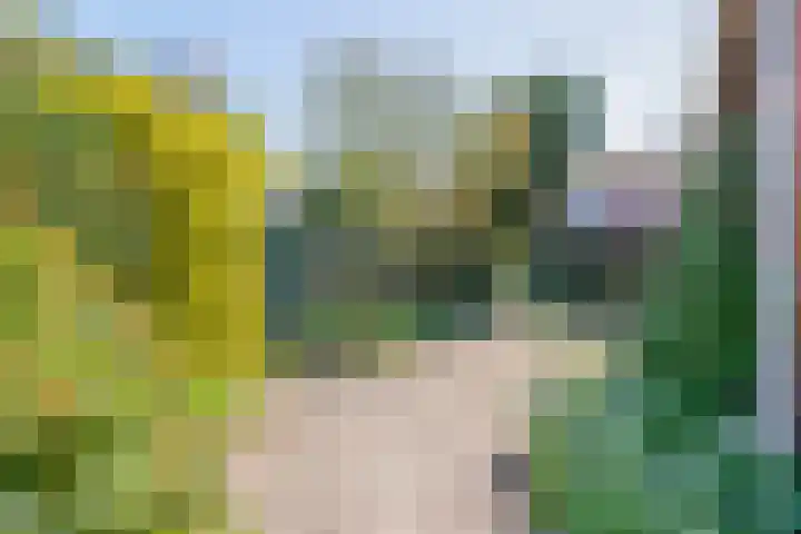 Nederlandlaan 10 Stadskanaal thumbnail 39