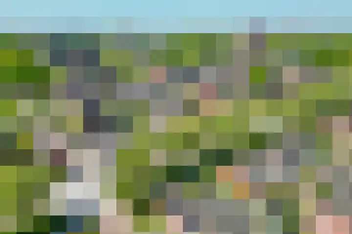 Nederlandlaan 10 Stadskanaal thumbnail 41