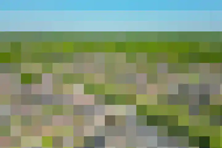 Nederlandlaan 10 Stadskanaal thumbnail 43