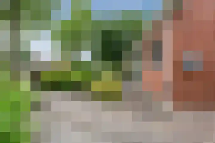 Nederlandlaan 14 Stadskanaal thumbnail 6