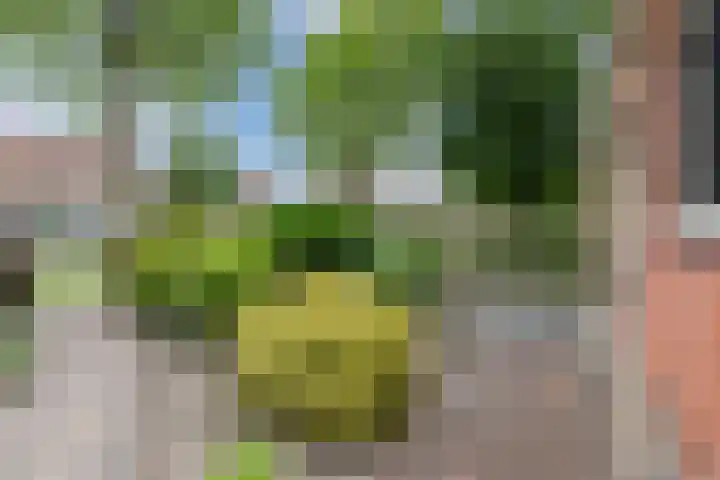 Nederlandlaan 14 Stadskanaal thumbnail 7