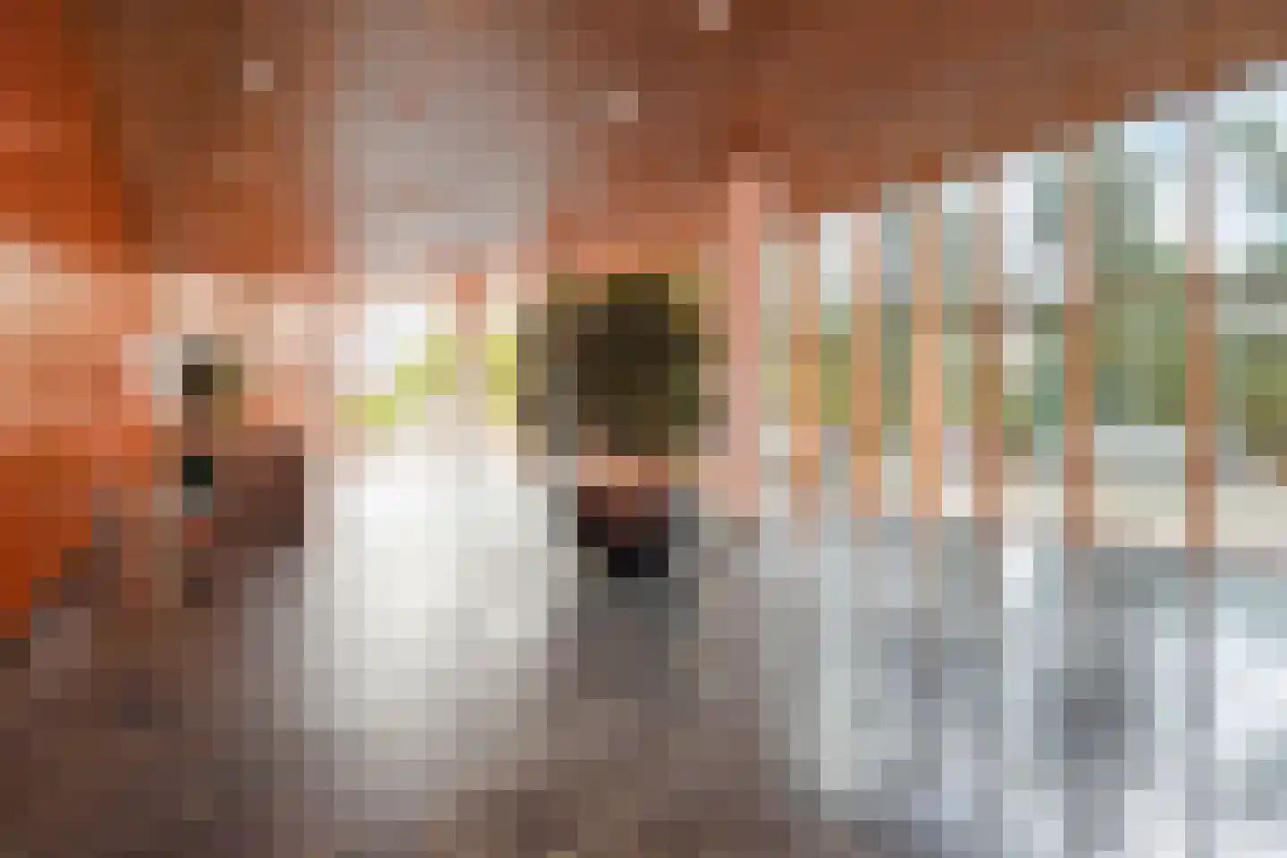Nederlandlaan 214 Zoetermeer thumbnail 11