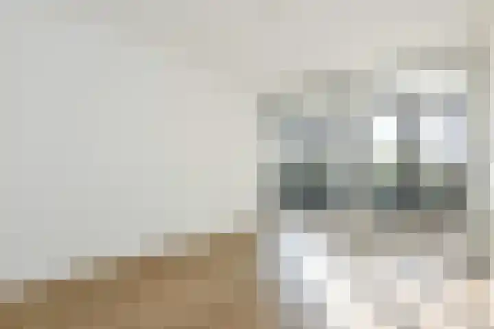 Nederlandlaan 216 Zoetermeer thumbnail 30