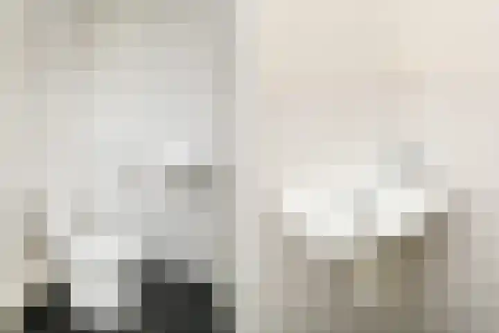 Nederlandlaan 216 Zoetermeer thumbnail 31