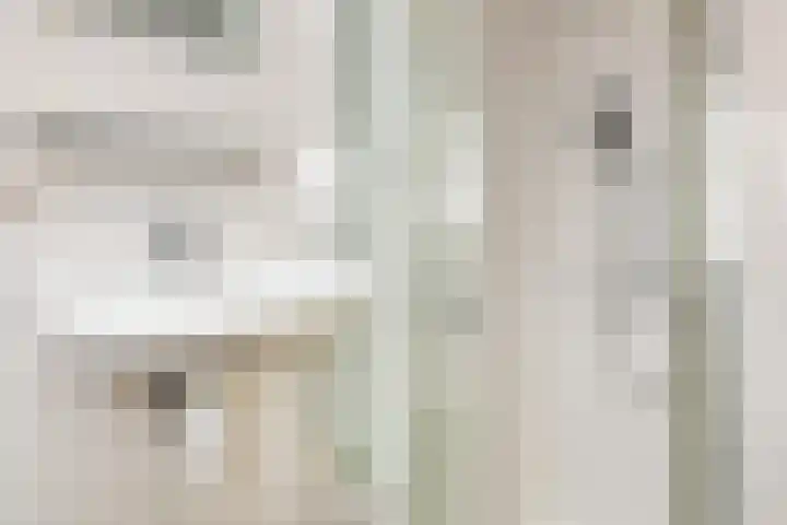 Nederlandlaan 216 Zoetermeer thumbnail 33