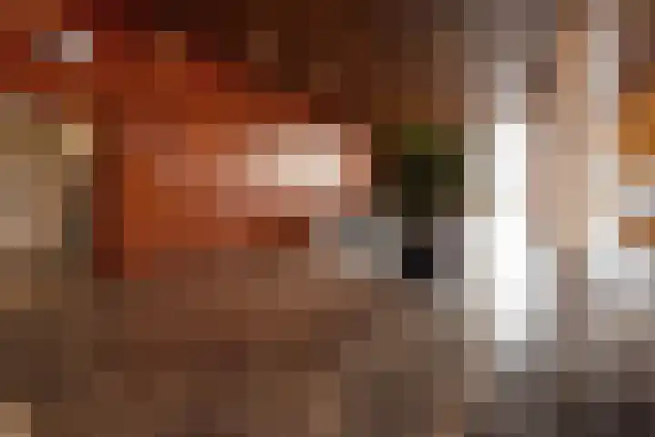 Nederlandlaan 226 Zoetermeer thumbnail 30