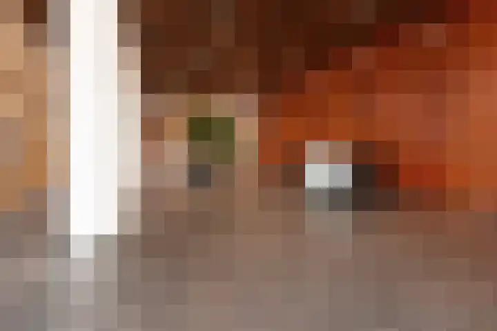 Nederlandlaan 226 Zoetermeer thumbnail 31