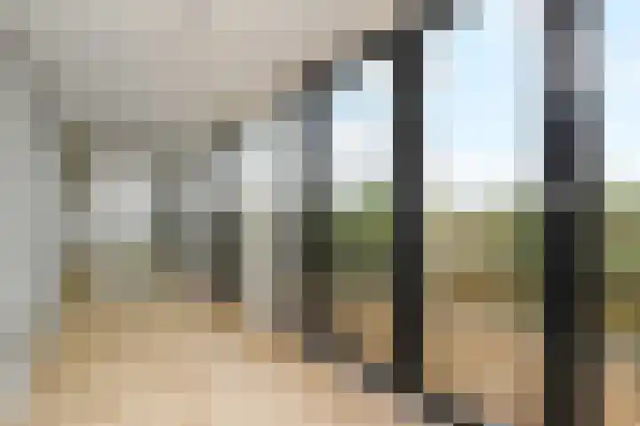 Nederlandlaan 228 Zoetermeer thumbnail 24