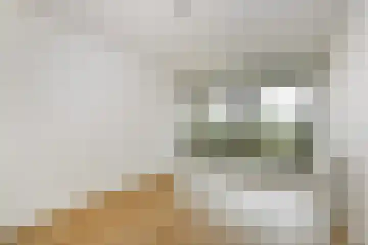 Nederlandlaan 228 Zoetermeer thumbnail 33