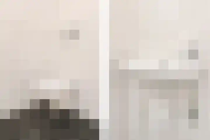 Nederlandlaan 240 Zoetermeer thumbnail 31