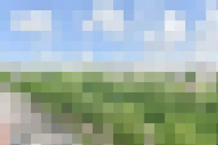 Nederlandlaan 248 Zoetermeer thumbnail 15