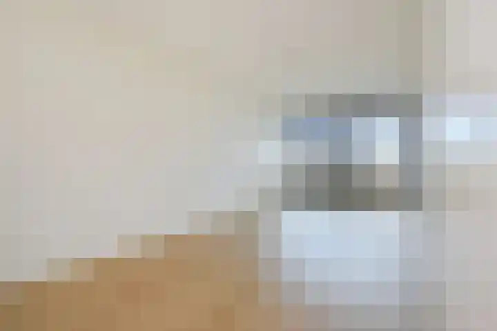 Nederlandlaan 248 Zoetermeer thumbnail 26