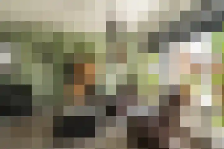Nederlandlaan 25 Stadskanaal thumbnail 8