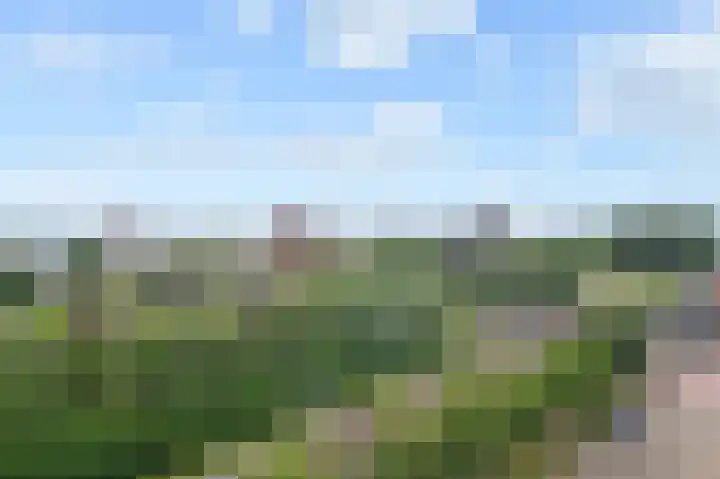 Nederlandlaan 262 Zoetermeer thumbnail 16