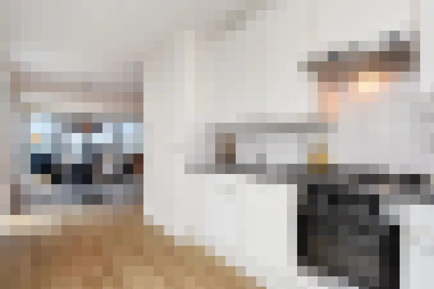 Nederlandlaan 268 Zoetermeer thumbnail 36