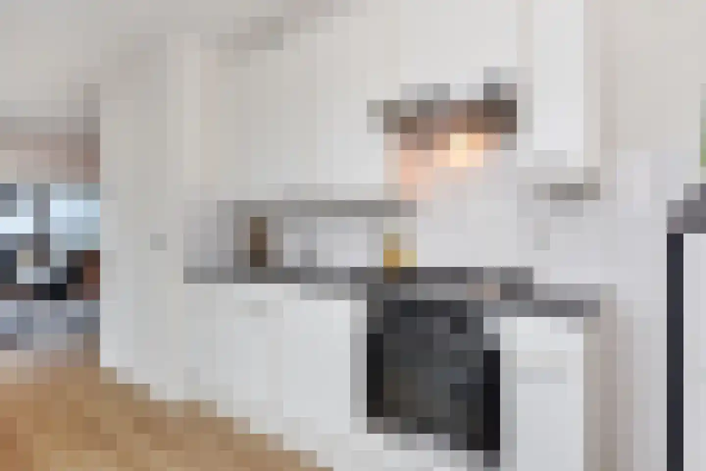 Nederlandlaan 268 Zoetermeer thumbnail 38