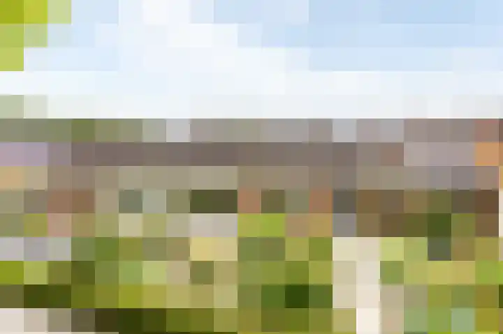 Nederlandlaan 30 Stadskanaal thumbnail 4