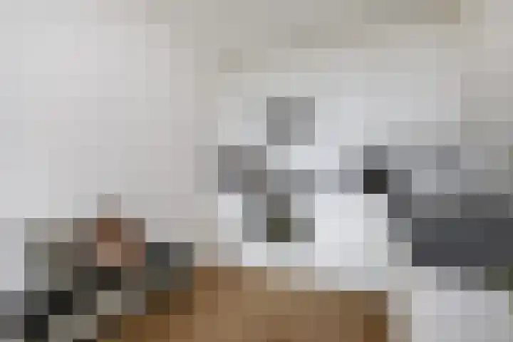Nederlandlaan 310 Zoetermeer thumbnail 24