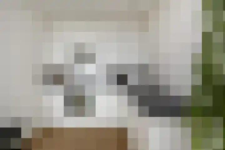 Nederlandlaan 310 Zoetermeer thumbnail 25