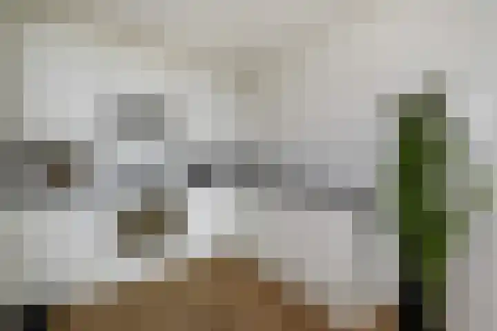 Nederlandlaan 310 Zoetermeer thumbnail 26