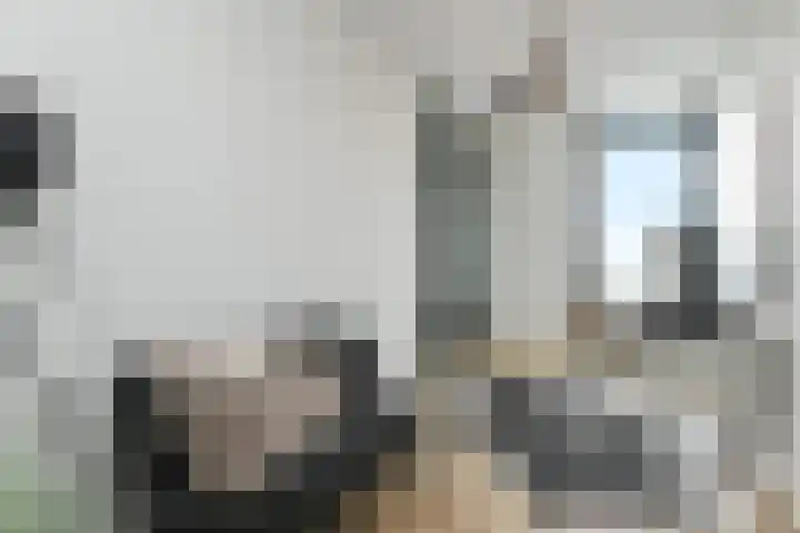 Nederlandlaan 310 Zoetermeer thumbnail 29