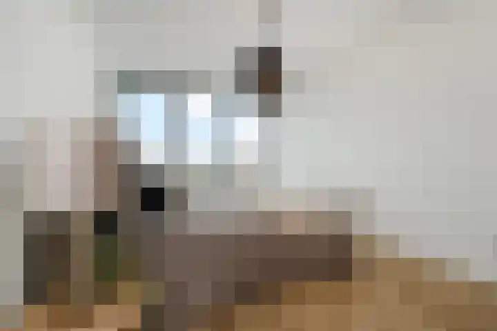 Nederlandlaan 310 Zoetermeer thumbnail 31