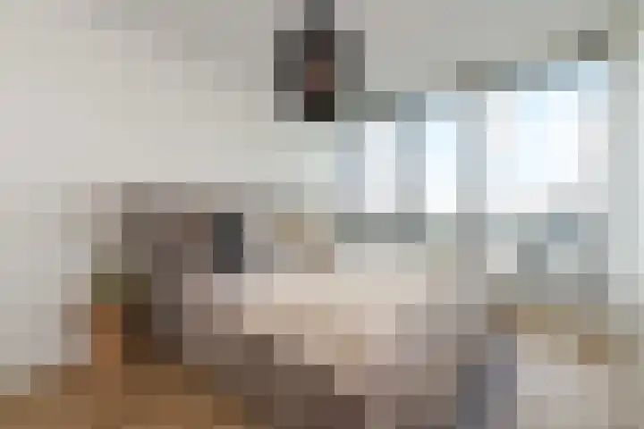 Nederlandlaan 310 Zoetermeer thumbnail 32