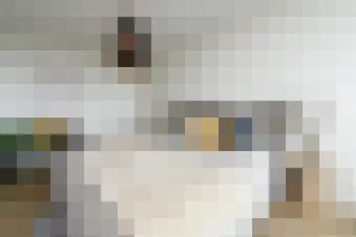 Nederlandlaan 310 Zoetermeer thumbnail 34