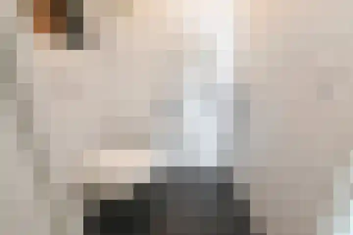 Nederlandlaan 310 Zoetermeer thumbnail 36