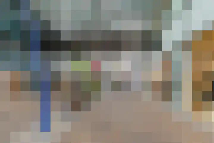 Nederlandlaan 310 Zoetermeer thumbnail 43