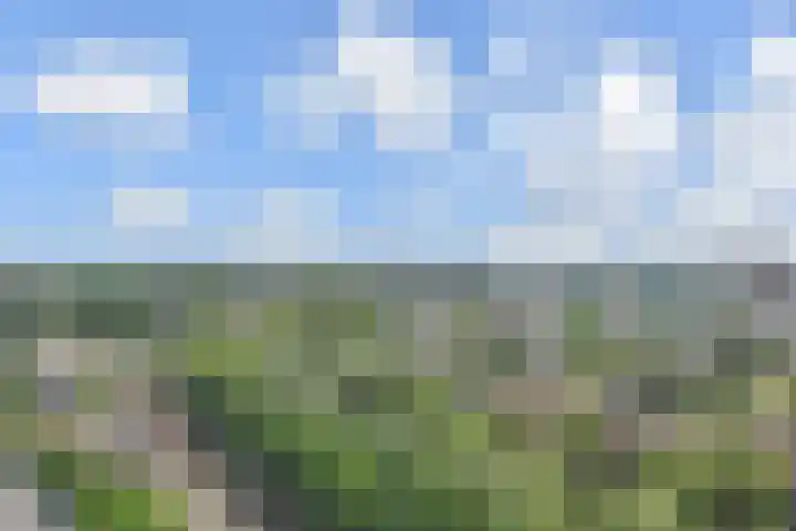 Nederlandlaan 326 Zoetermeer thumbnail 13