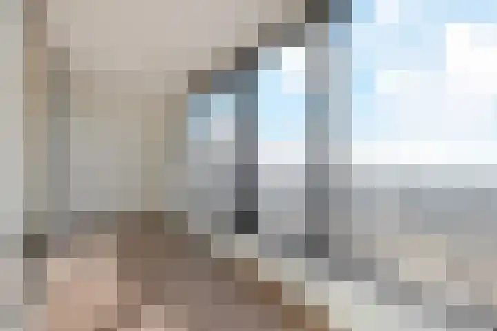 Nederlandlaan 366 Zoetermeer thumbnail 18