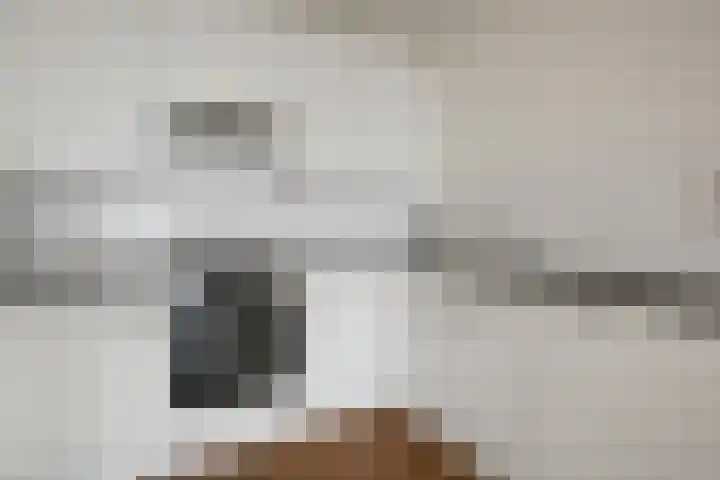 Nederlandlaan 366 Zoetermeer thumbnail 27
