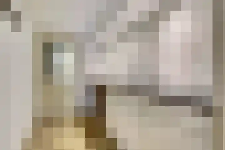Nederlandlaan 5 Heerlen thumbnail 11