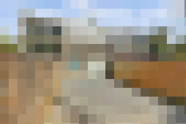 Nederlandlaan 5 Heerlen thumbnail 28