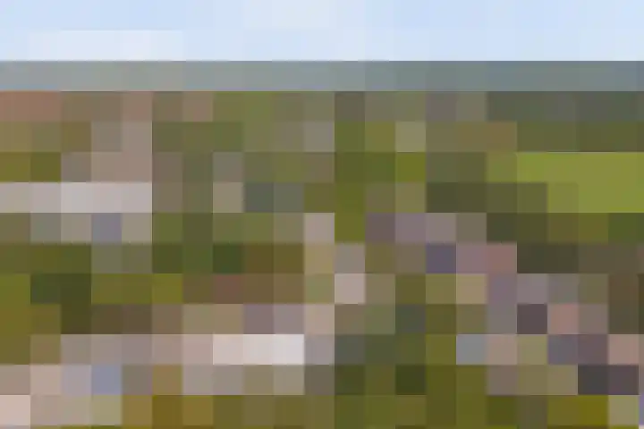 Nederlandlaan 5 Heerlen thumbnail 35