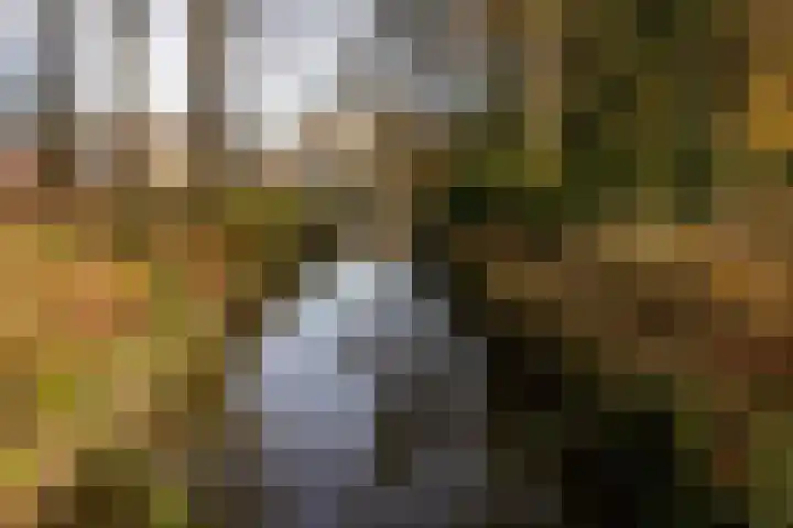 Nederlandlaan 99 Enschede thumbnail 42