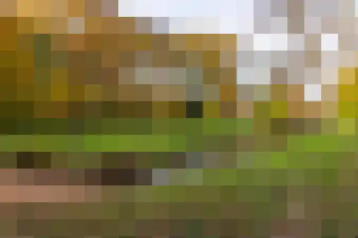 Nederlandlaan 99 Enschede thumbnail 43