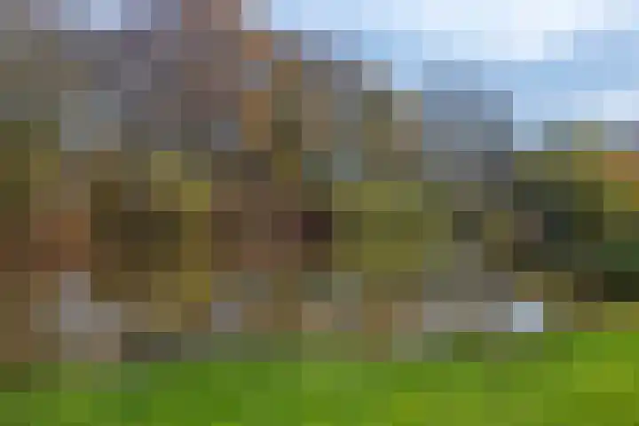 Nederlandlaan 99 Enschede thumbnail 44